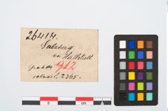 Etikett zu Bronzemehrkopfnadel (NHMW-PRAE-026414)
